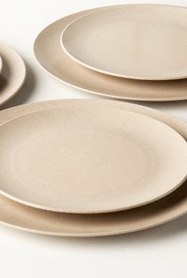 Dinner Plate4 Dinner Plate4