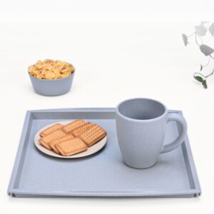 Greet Tray