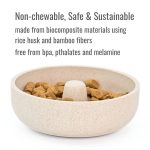 fountain pet bowl