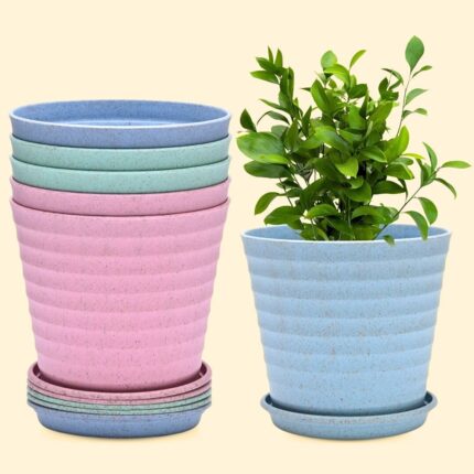 Eha Linea planter for home