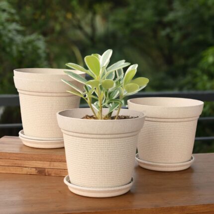 Aura 8 Inch
