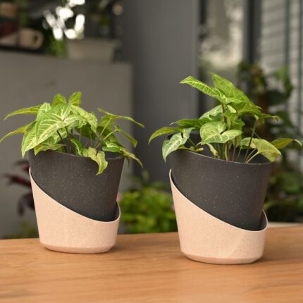 Earth-Friendly Planters EcoBloom 7 Inch set of 2 | Self watering Planters| Bamboo Based Pots and Planters | UV Protected | Eco friendly planters for Indoor, Outdoor, Home Decor, Mini Gamley for Balcony & Garden