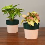 Ecopod