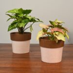 Ecopod