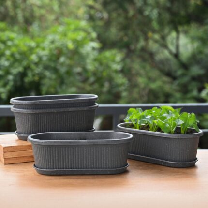 Regalia 12" set of 4
