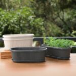 Regalia 12" set of 4
