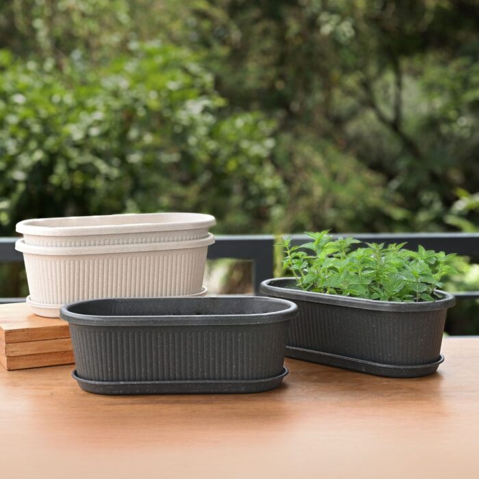 Regalia 12" set of 4