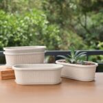 Regalia 12" set of 4