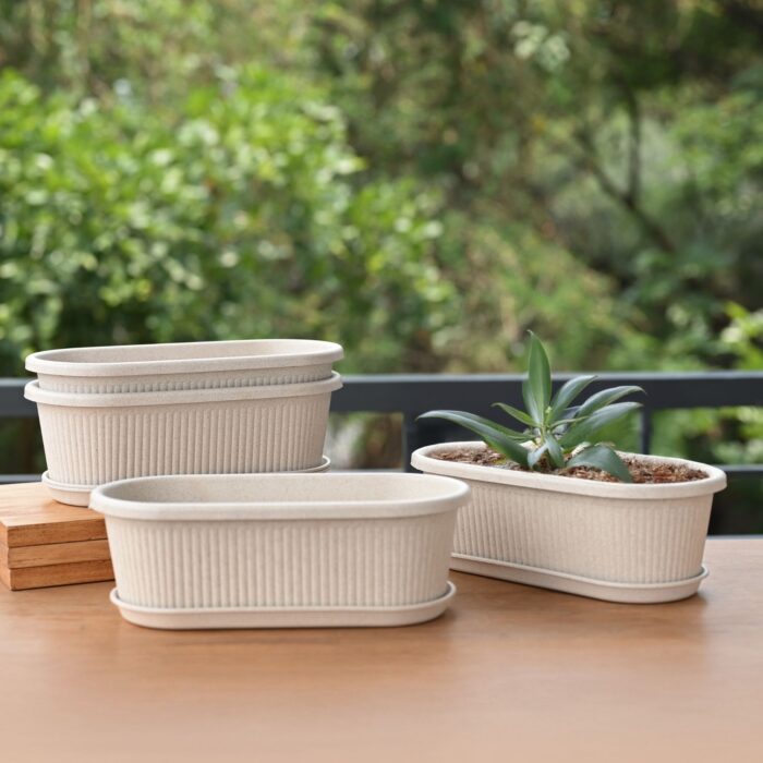 Regalia 12" set of 4