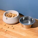 EcoSteel 2-in-1 Feeding Pet Bowls | 750 ml | Eco friendly For Dogs, Cats & Pets | Made of Rice Husk & Bamboo Biocomposites