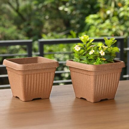 Earth-Friendly Planters Bella Square 8 Inch set of 2 | Bamboo Based Pots and Planters | UV Protected | Eco friendly planters for Indoor, Outdoor, Home Decor, Balcony & Garden