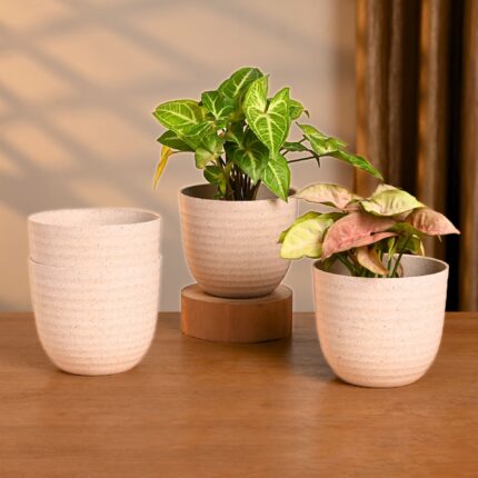 Verona 4" set of 4
