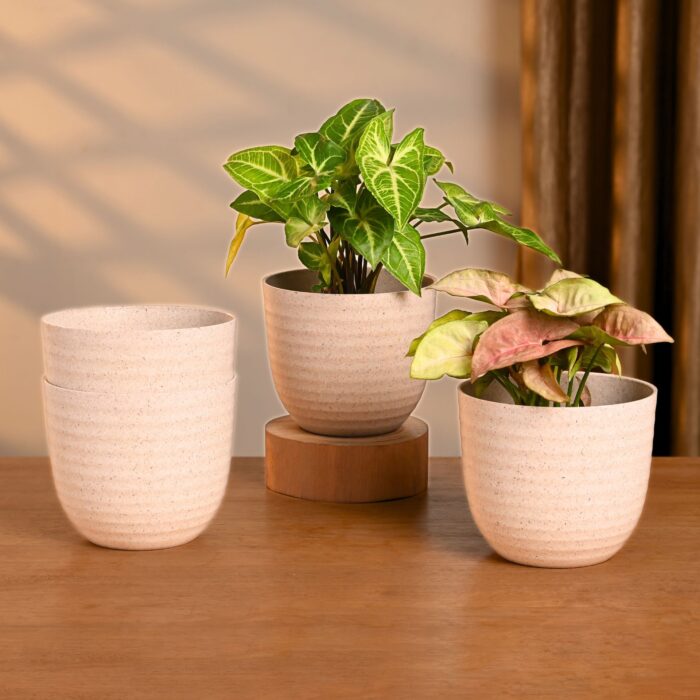 Verona 4" set of 4
