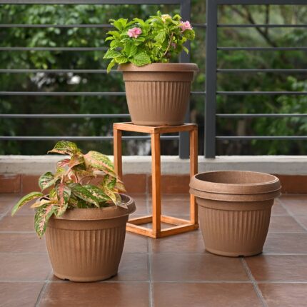 Bella Round 12" set of 4