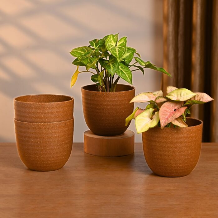 Verona 4" set of 4