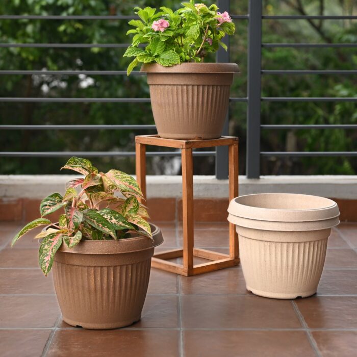 Bella Round 12" set of 4