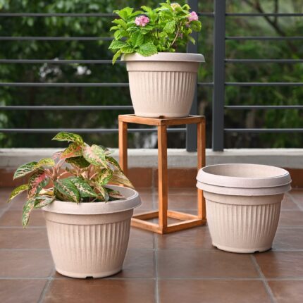 Bella Round 12" set of 4