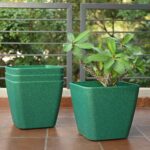 Daisy 4" set of 4