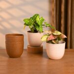 Verona 4" set of 4