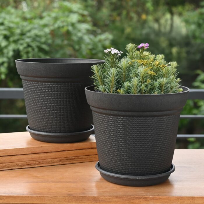 Aura 10 Inch