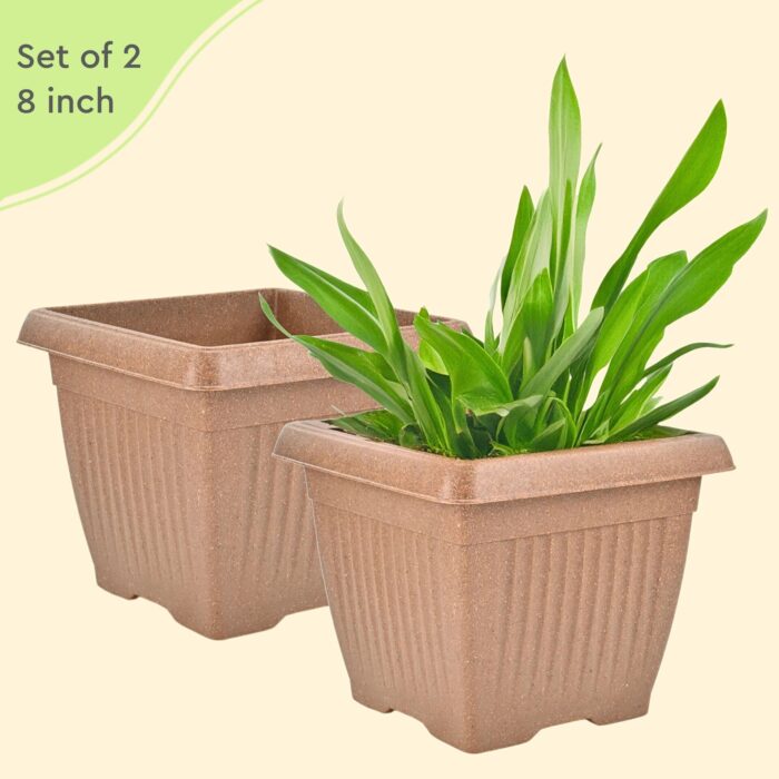 Bella Square Planter Primary Dimension 2 1