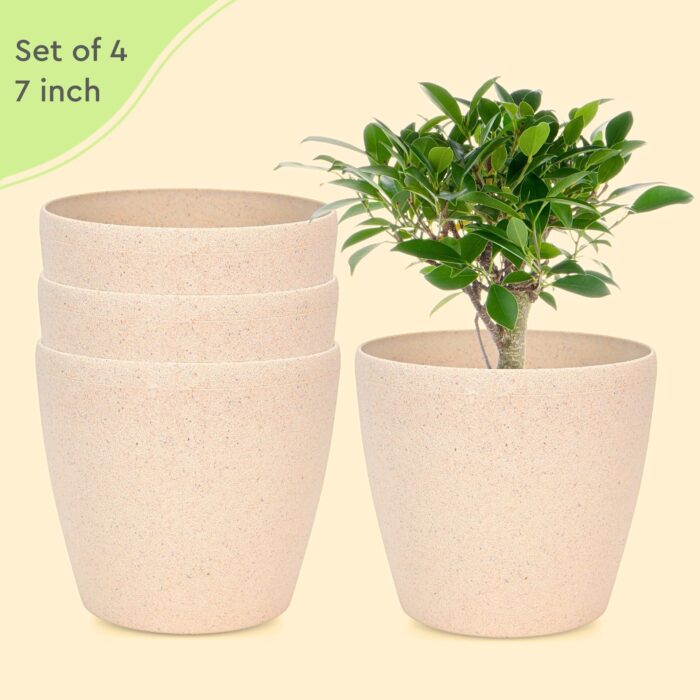 Deco Planter Primary Dimension 3