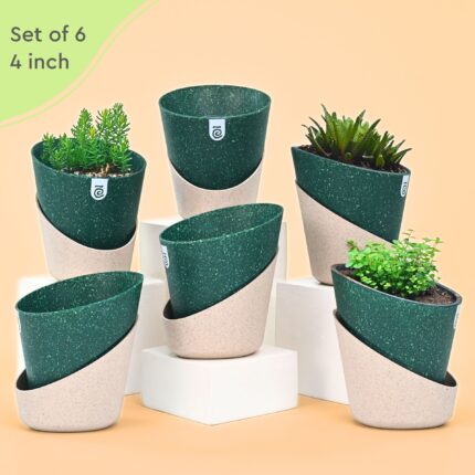 Eco Bloom Planter Primary Dimension 2