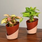 ecopod