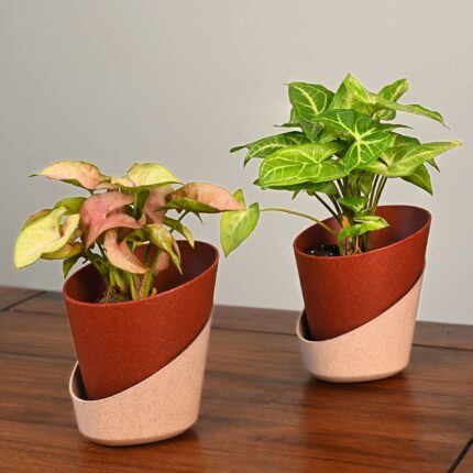 ecopod