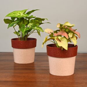 Ecopod