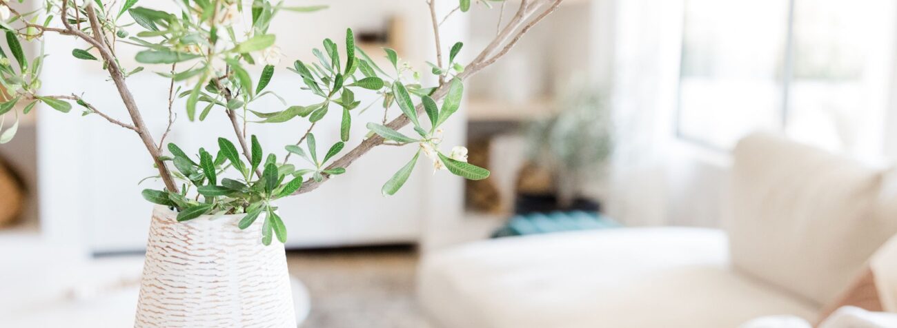 flower pots for living room