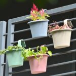 Ecosling set of 4 multi