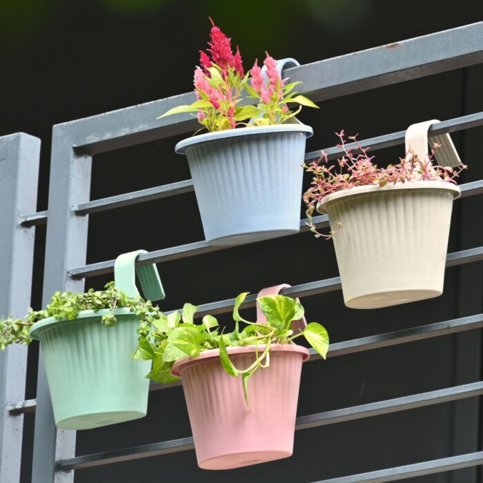 Ecosling set of 4 multi
