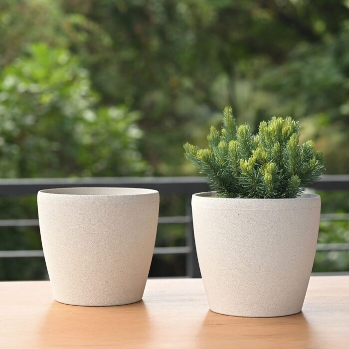 Deco 7"