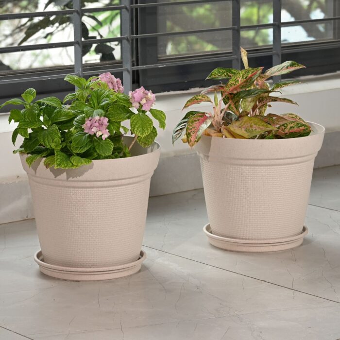 Set of 2
