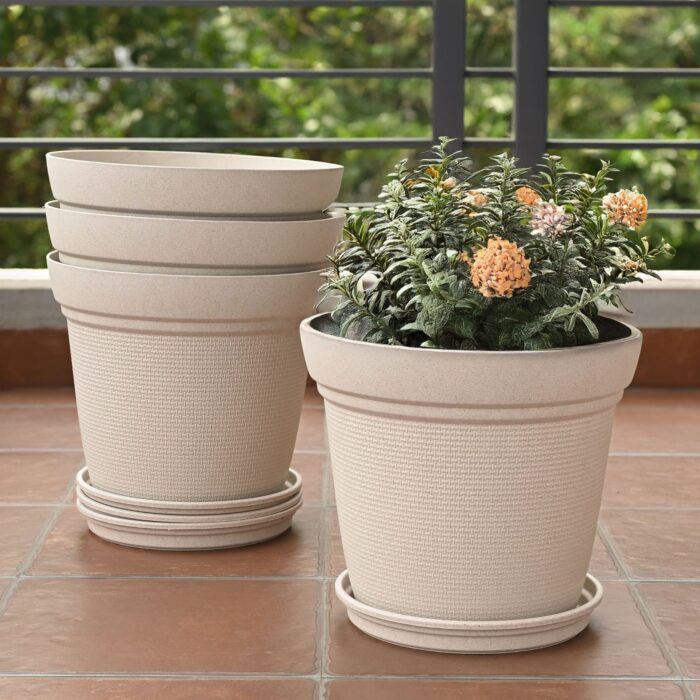 Set of 4