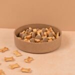 Maze Slow Feeding Pet Bowls 1400 ml | Eco friendly Unbreakable Bowls Made with Bamboo Fibers & Rice Husk Fiber | Microwave Safe and Pet Safe bowls| for Hot & Cold servings