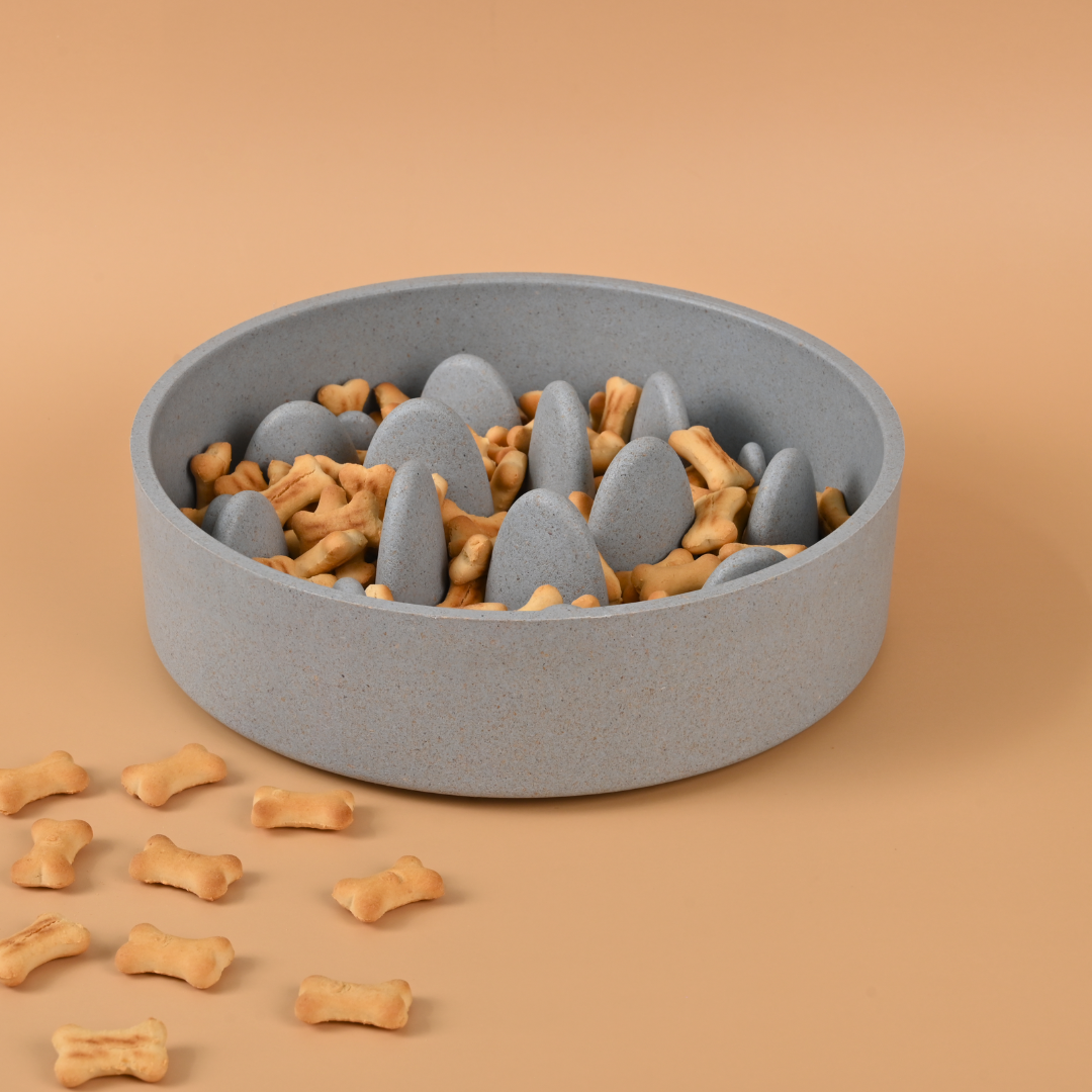 pet maze bowl