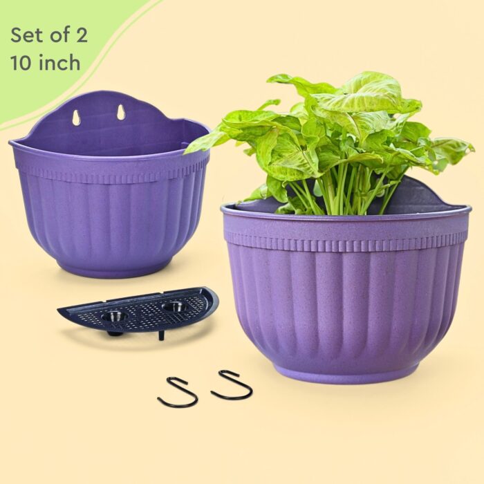 2 Hook Planter Primary 1 2