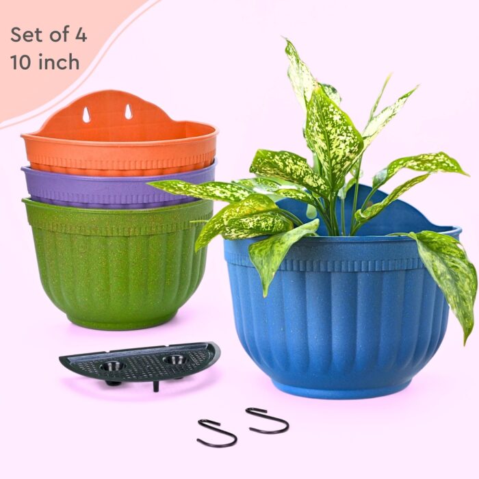 2 Hook Planter Primary 5