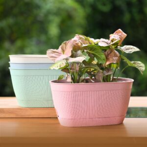 Eva planter