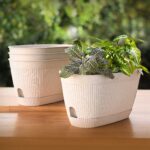 EcoEva