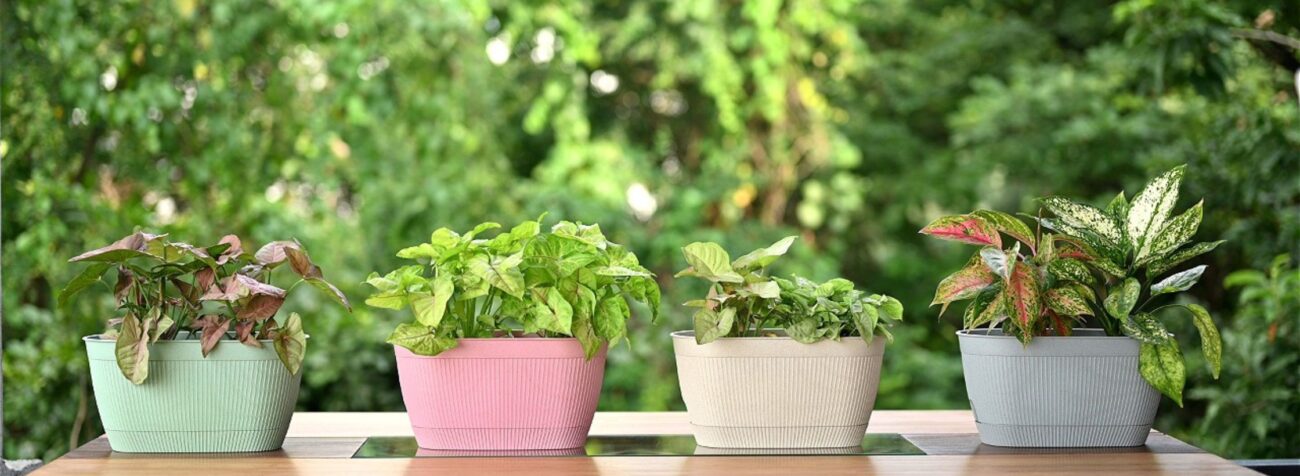 flower pot shop near me, flower pots near me, planters near me, planter store near me