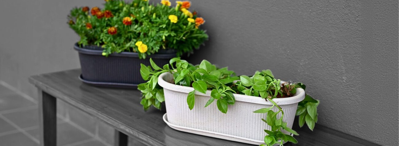 garden pot plastic, flower pot plastic