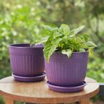 Petal pot set of 2