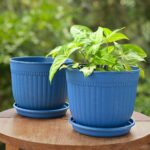 Petal pot set of 2