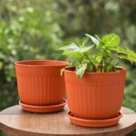 Petal pot set of 2