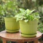 Petal pot set of 2