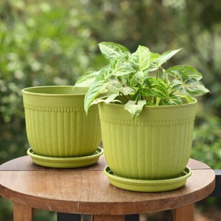 Petal pot set of 2