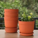 Petal pot set of 4